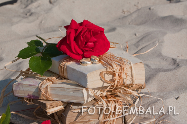 ania_roman164